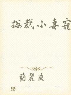 总裁小妻宠上天