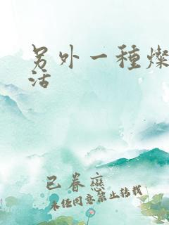 另外一种灿烂生活