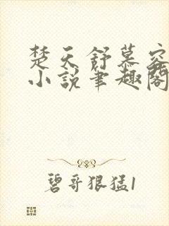 楚天舒慕容江月小说笔趣阁