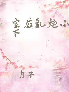 家庭乱炮小说全本