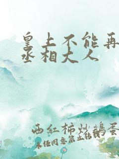 皇上不能再进了丞相大人