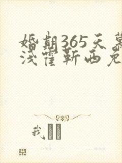婚期365天慕浅霍靳西免费阅读