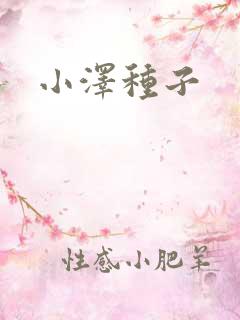 小泽种子