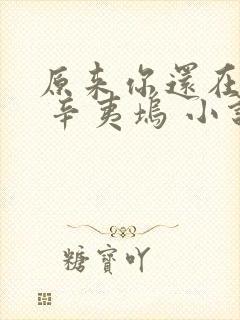 原来你还在这里 辛夷坞 小说