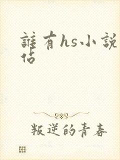 谁有hs小说网站