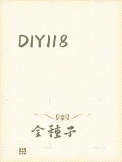 DIYI18