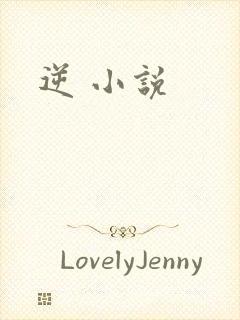 逆 小说