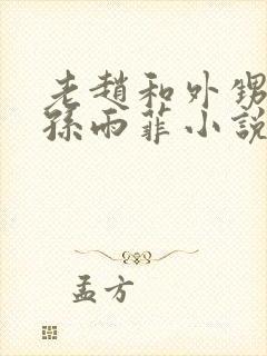 老赵和外甥媳妇孙雨菲小说