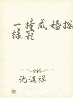 一撞成婚总裁花样宠