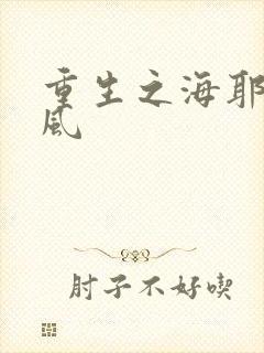 重生之海耶斯旋风