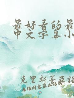 最好看的最新的中文字幕小说