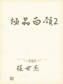极品白领2