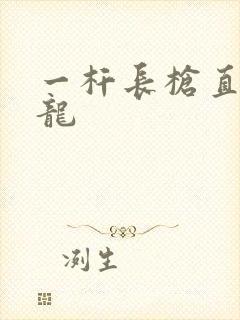 一杆长枪直捣黄龙