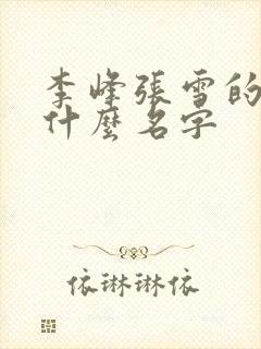 李峰张雪的书叫什么名字