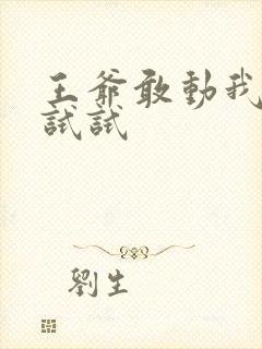 王爷敢动我妈咪试试