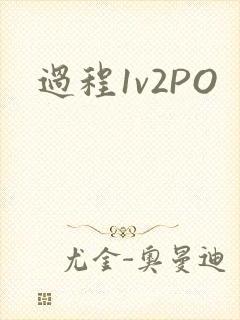 过程1v2PO