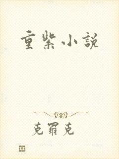 重紫小说