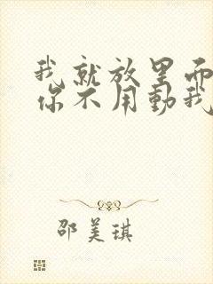 我就放里面不动你不用动我动