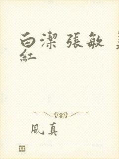 白洁 张敏 美红