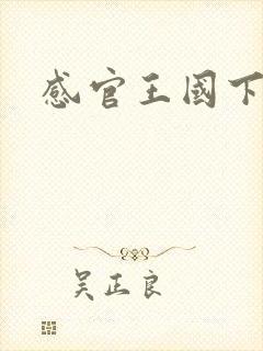 感官王国下载