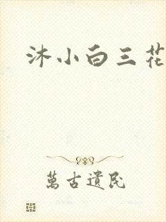 沐小白三花