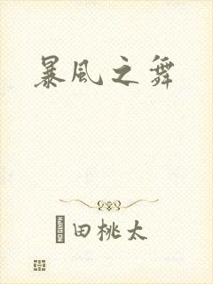 暴风之舞
