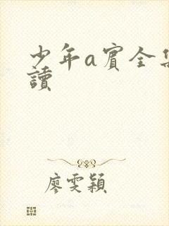 少年a宾全集阅读