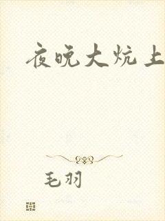 夜晚大炕上罪恶