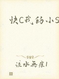 快C我的小SB