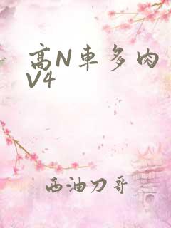 高N车多肉多1V4