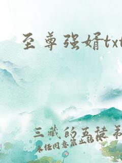 至尊强婿txt