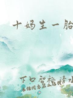 十妈生一胎