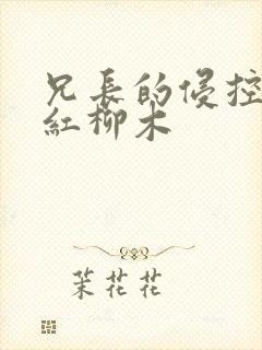 兄长的侵控by红柳木