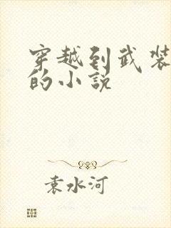 穿越到武装少女的小说