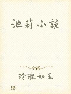 池莉小说