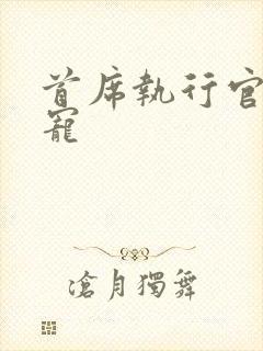 首席执行官的绝宠