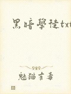 黑暗学徒txt