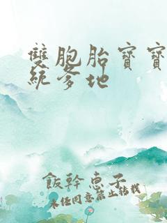 双胞胎宝宝的总统爹地