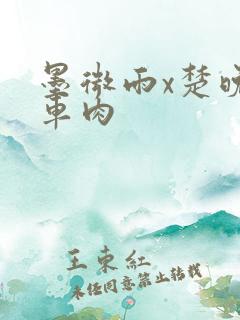 墨微雨x楚晚宁车肉