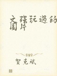 文强玩过的女人图片