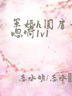 军婚h圆房～h嗯啊1v1