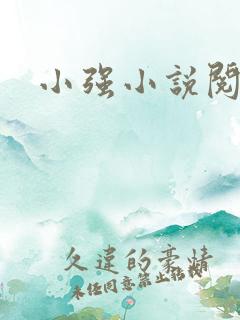 小强小说阅读网