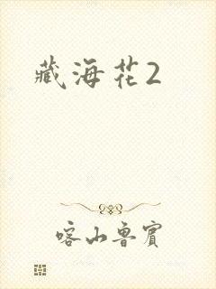 藏海花2