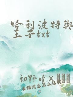 哈利波特与混血王子txt