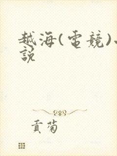 越海(电竞)小说