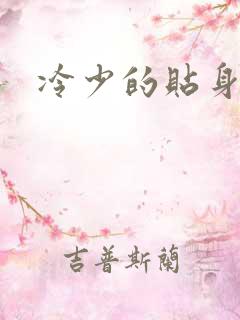 冷少的贴身女人
