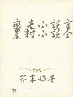 恋老小说言情网农村小说全文阅读