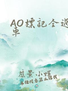 AO标记全过程车