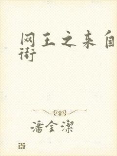 网王之来自流星街