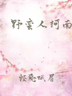 野蛮人柯南小说